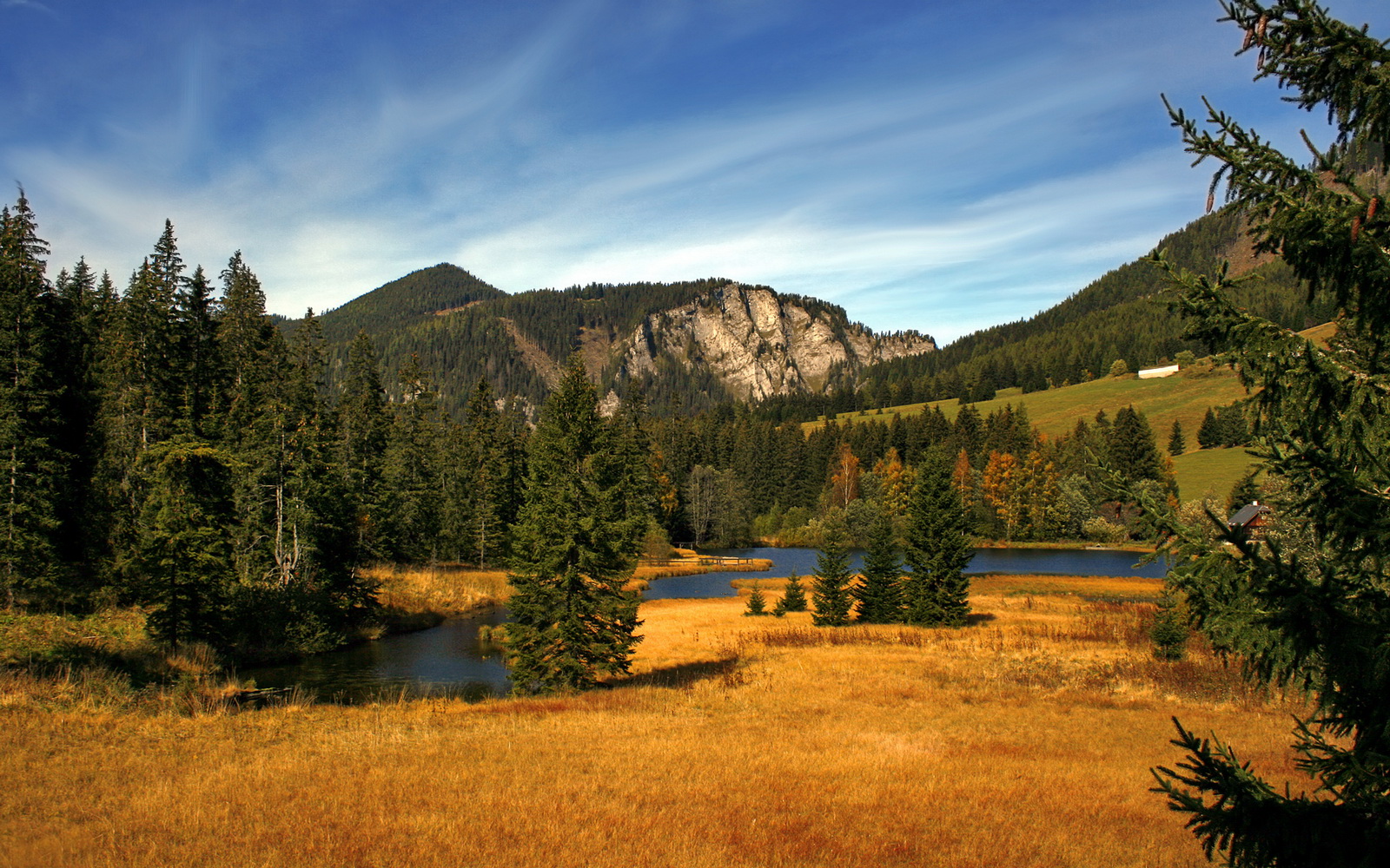 叛逆的技术流征服者,当欧陆战术板被马赛与福登撕碎