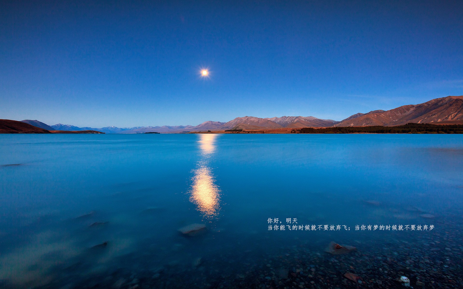 开云体育登录-灰熊决胜局终结76人希望，布伦森世界舞台接管比赛彰显领袖力