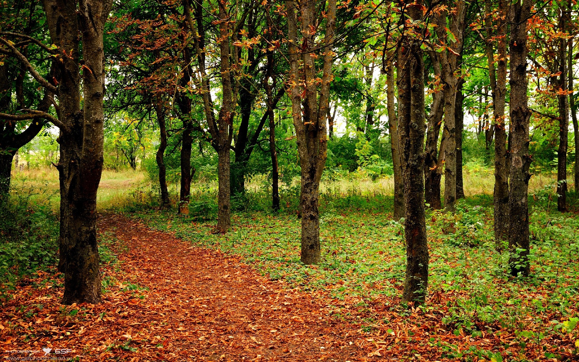 开云体育在线-指尖舞蹈家与红魔狂想曲，当李刚仁的灵感压制了荷兰，比利时用战术洪流冲垮了风车防线