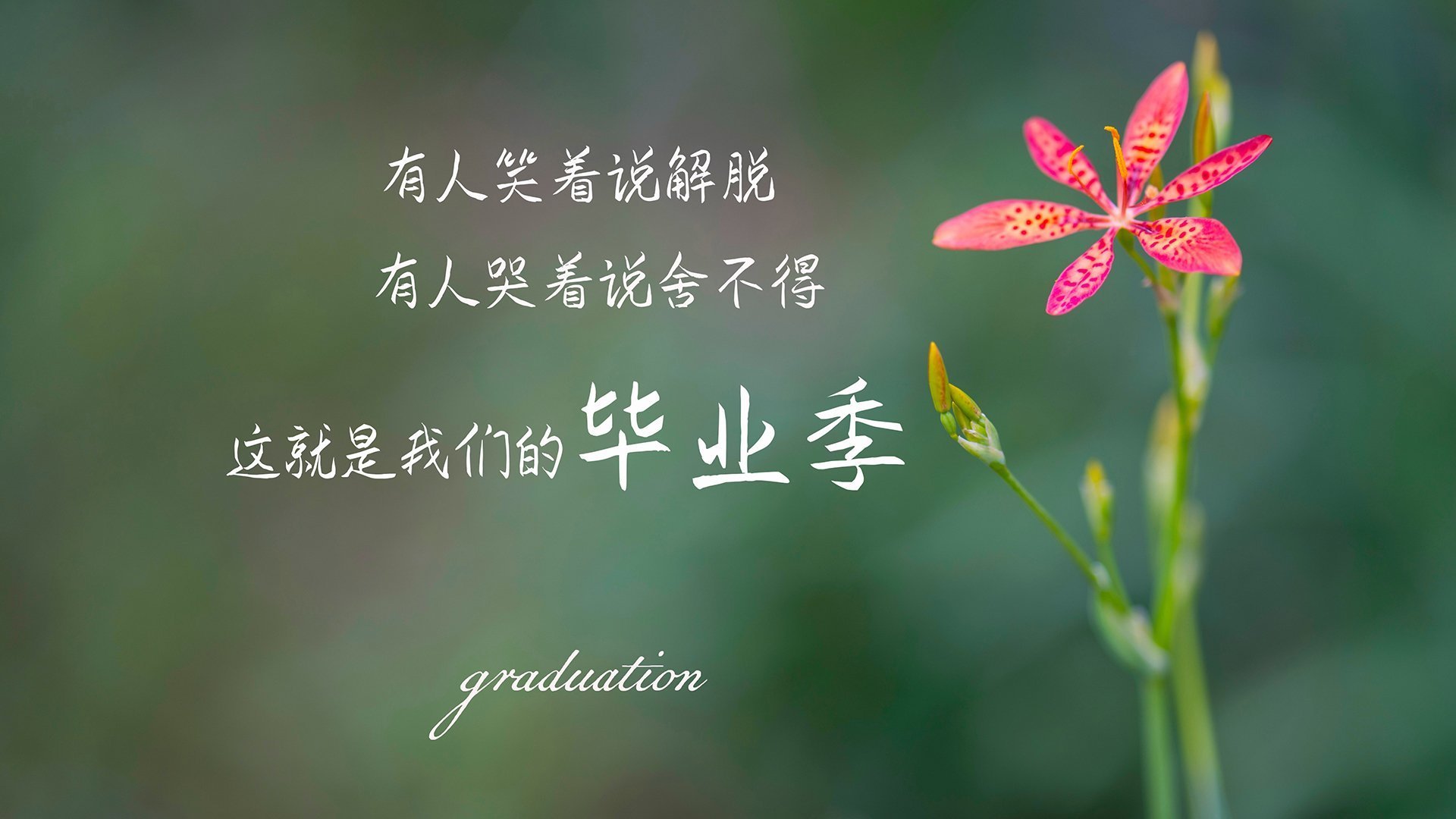 开云sport-哈登持续杀伤成致命武器，深圳队团队收割击溃魔术