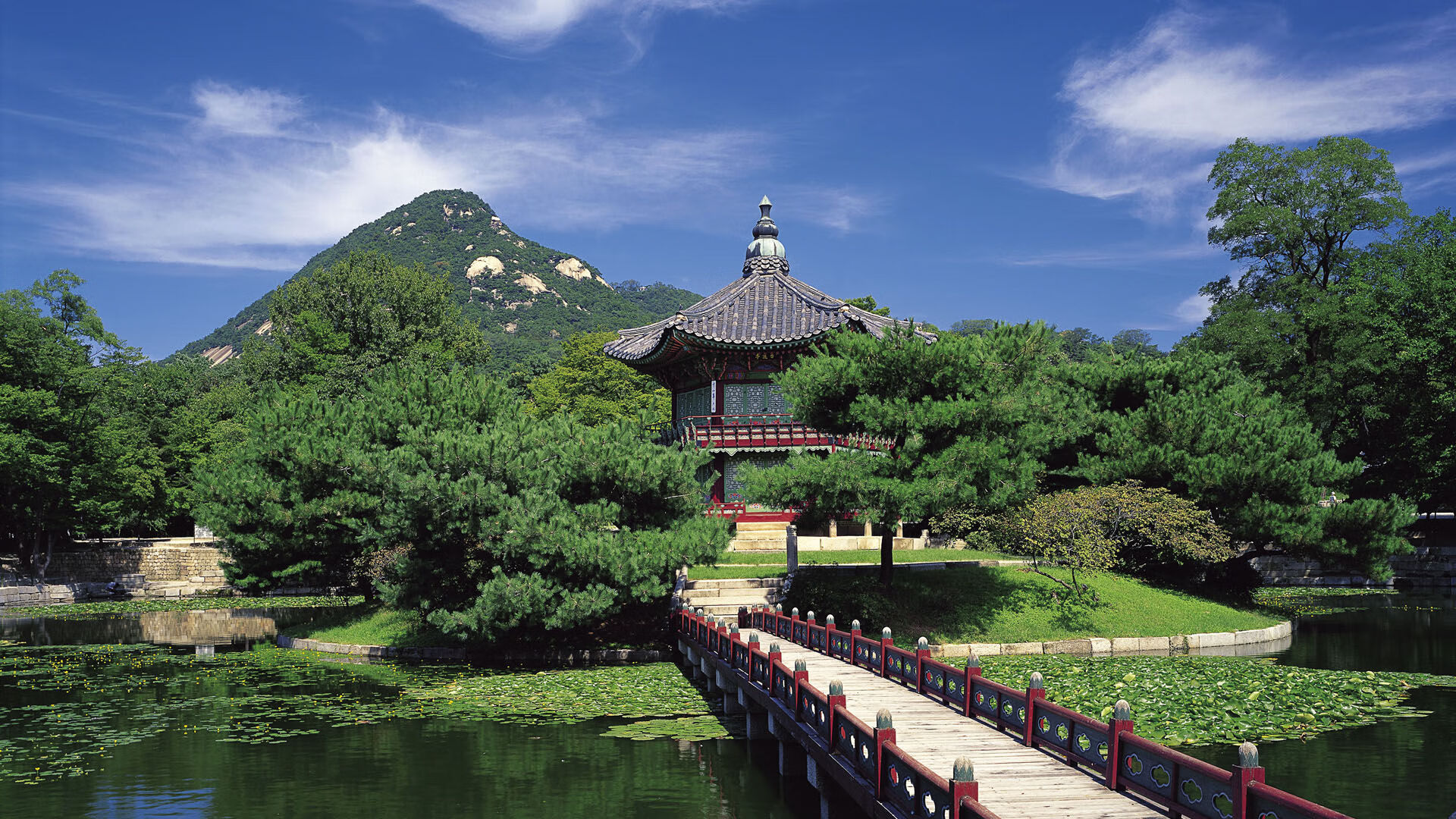 欧冠决赛战术启示录,广东队如何像顶级豪门一样收割篮网