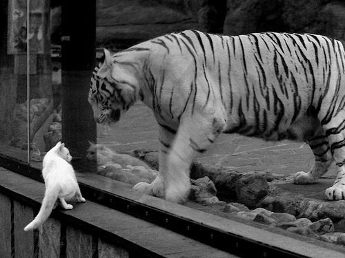 唯一解，当奥亚尔萨瓦尔的左脚起舞，德国严谨与希腊灵巧同时失效