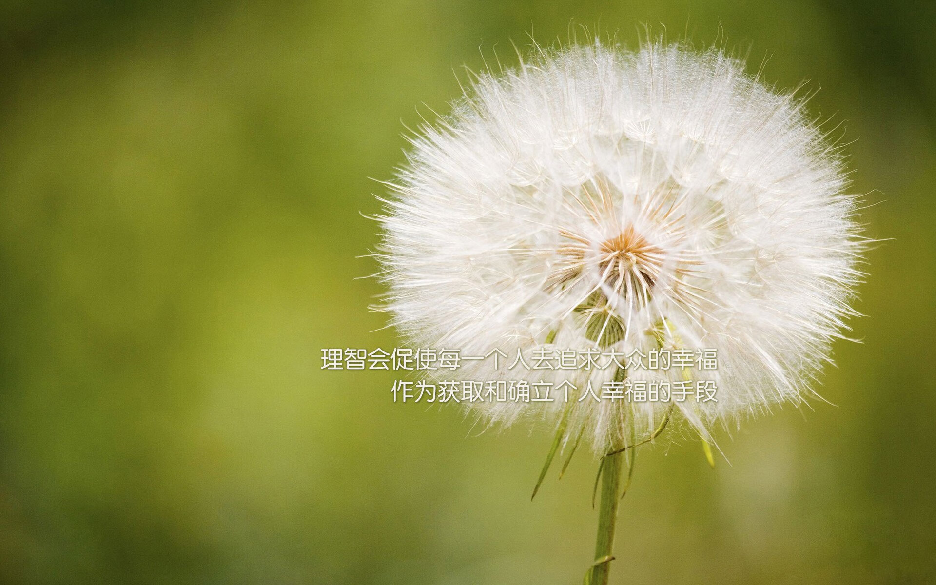 狭路相逢勇者胜，F1年度争冠之夜的铁血搏杀