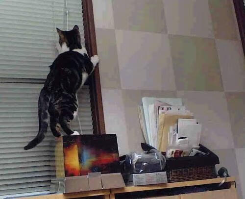 开云体育在线-寂静克星，英格拉姆用当代罕见的中距离艺术肢解骑士防线