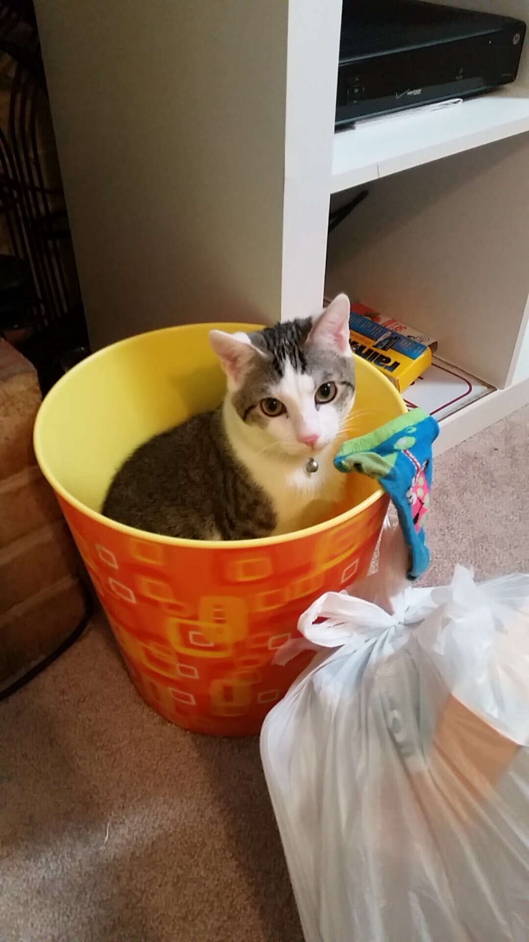 冰川与红龙,加克波的舞台哲学与加威决胜时刻