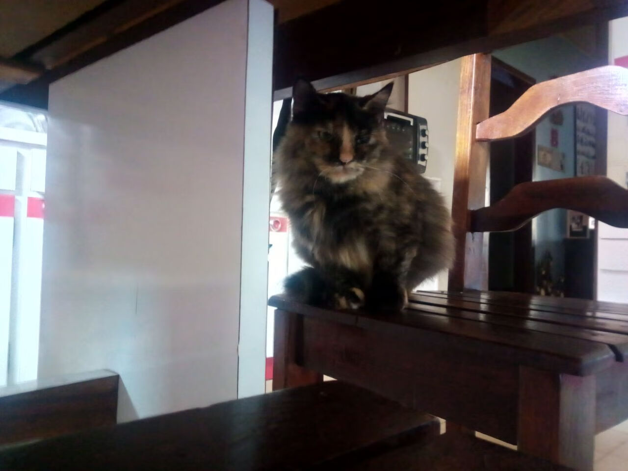 曼城对阵日本,楚阿梅尼无国界的战争,在东京雨夜刺出决定性一剑