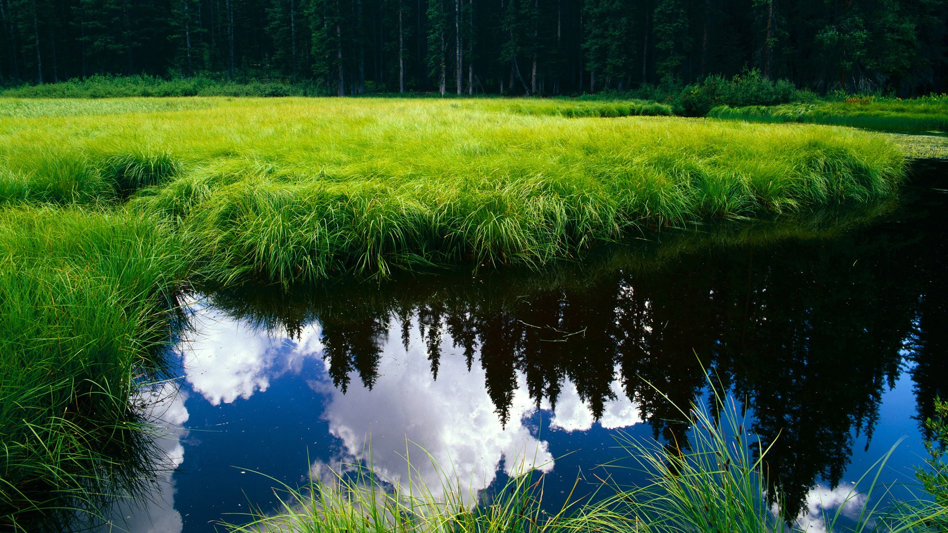 冰岛之心,极寒淬炼出的险胜哲学与关键时刻的不屈凯恩