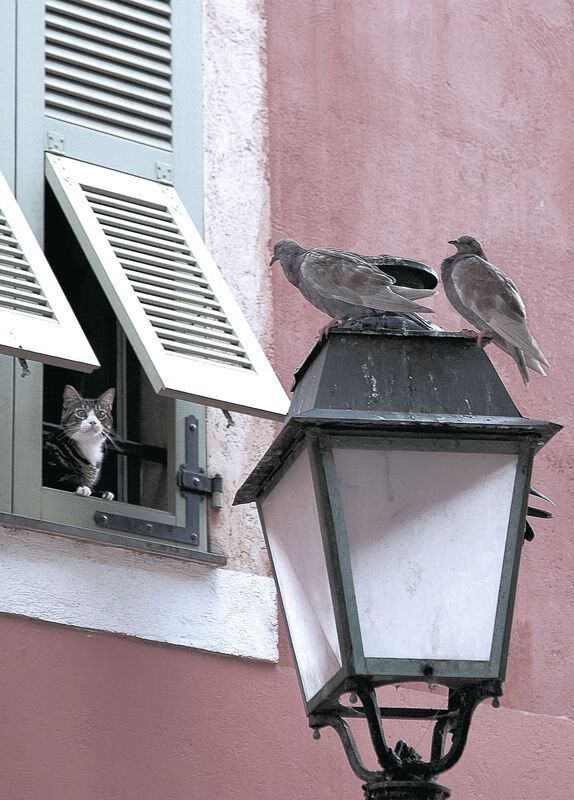 狼嚎时刻，爱德华兹，为何他的舞台越大心脏越强？