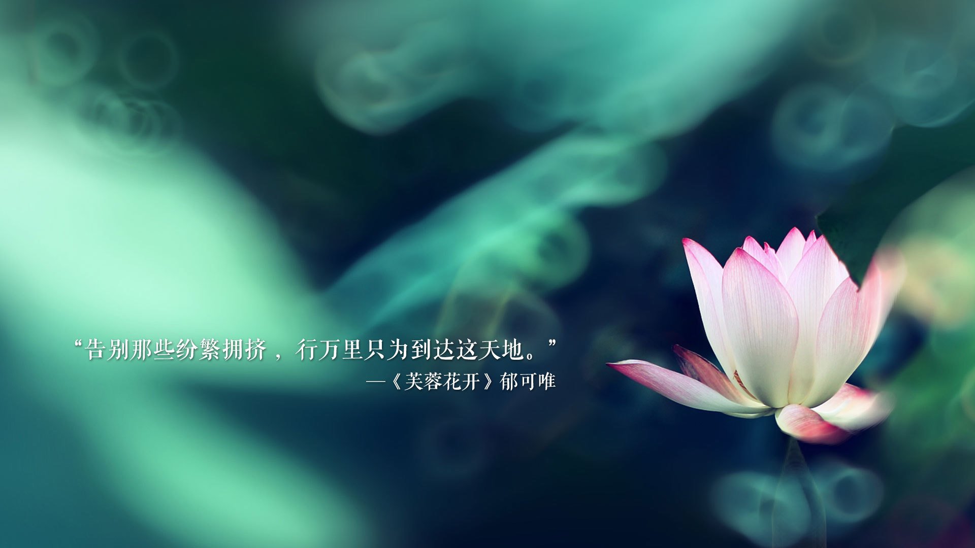 开云体育平台APP-沥青赛道与钢铁洪流，当极速轰鸣遇见沉默的坚持