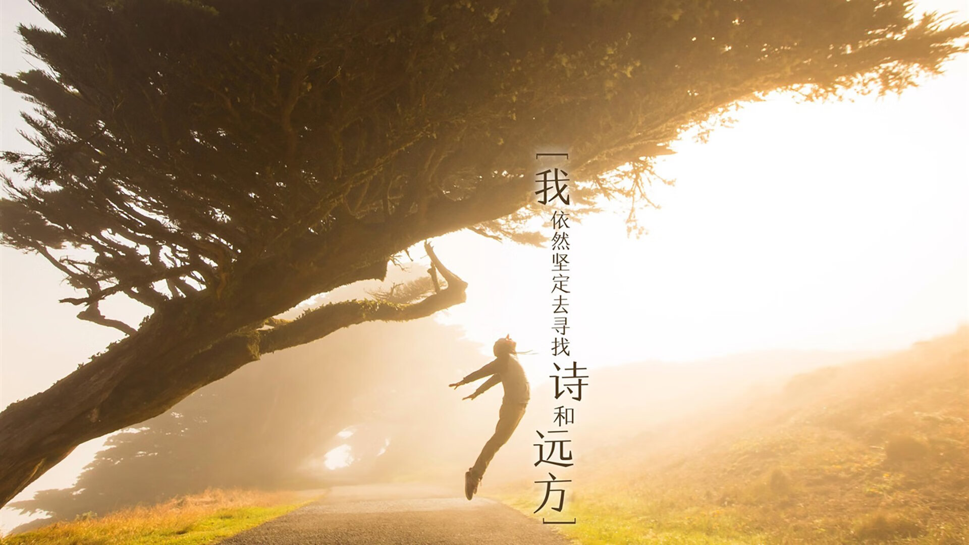 蓝色风暴，布罗佐维奇引领中场核爆，意大利用默契碾压葡萄牙的永恒经典