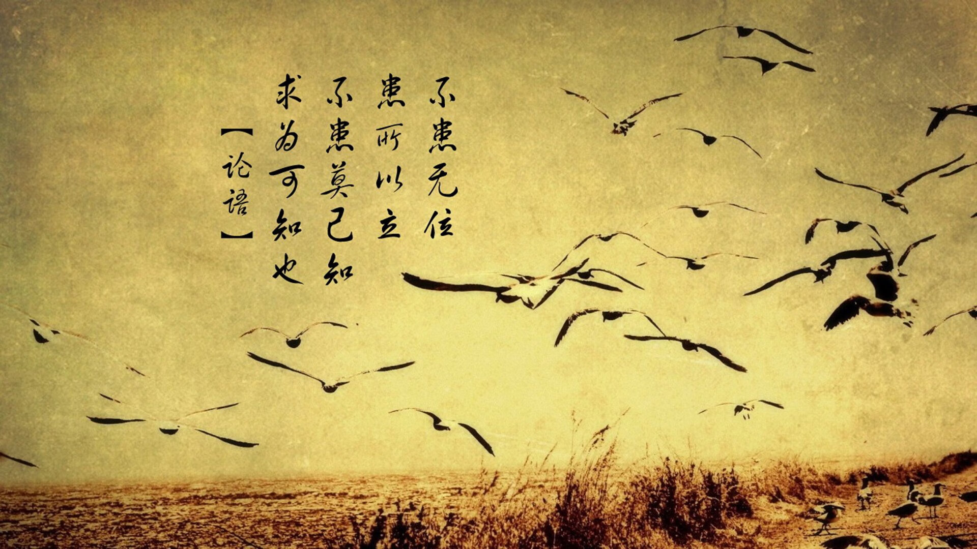 开云体育官网-唯一性之夜，当秘鲁的逆鳞刺穿澳洲袋鼠，梅西在攻守转换间重写足球美学