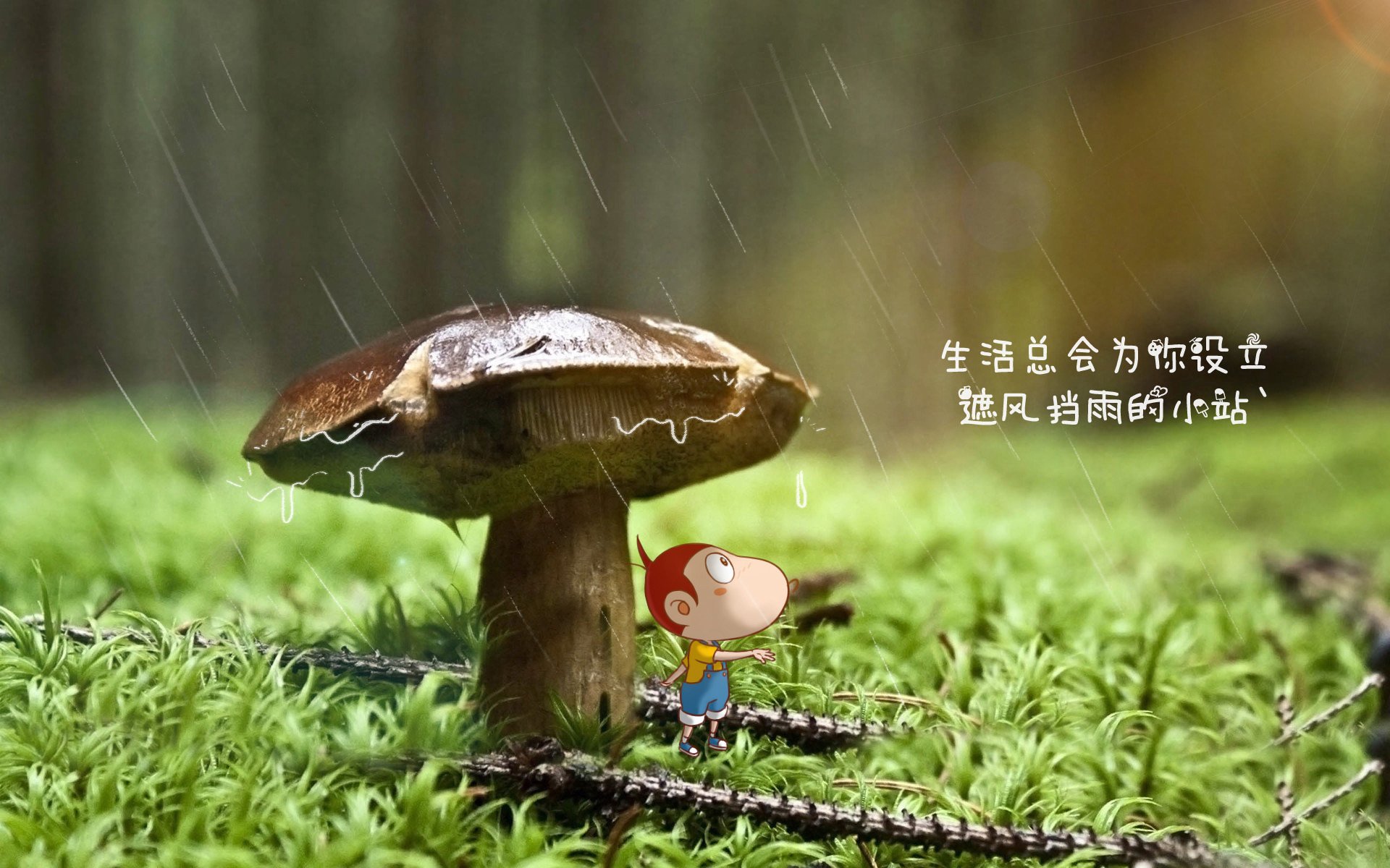 开云体育APP下载-以下是根据你的要求创作的标题和文章