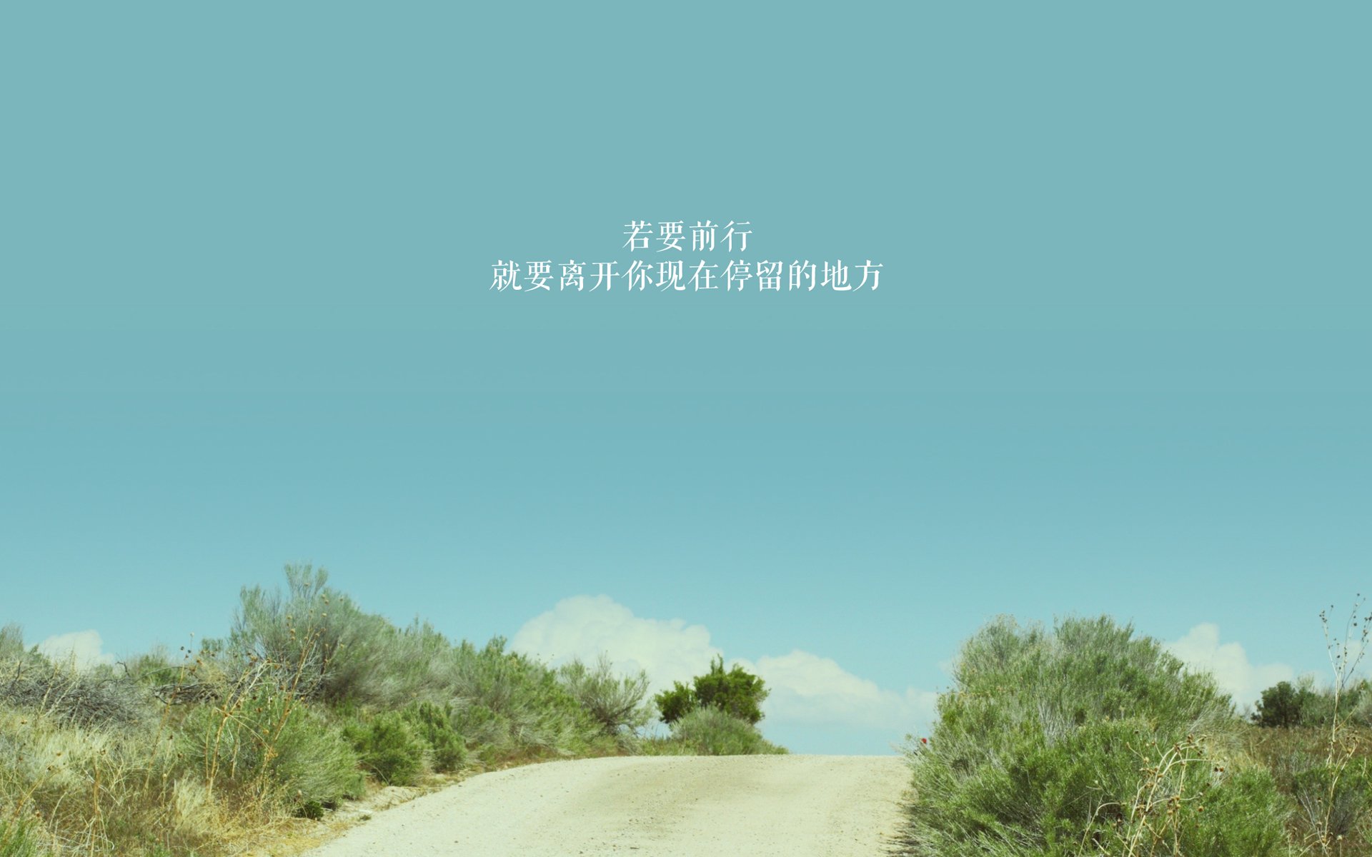 孤注一掷的亚洲之光，孙兴慜致命一击，秘鲁与突尼斯共铸C组唯一传奇